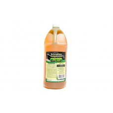Detergente Automotivo 2LTS
